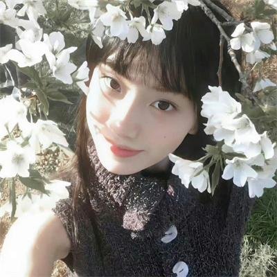 淑女绅士