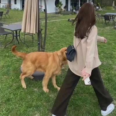 汪汪队立大功：超级大电影